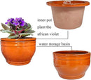 African Violet Pots Self Watering Round Ceramic Violet Pot (Orange, 6 inch) by GreenHaven Gardens