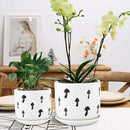 KERUITA Orchid Pots with Holes,5 inch + 6 inch Ceramic Planters Set of 2 with 2 Tray,White Flower Pot with Dancing Mushroom Shaped Vent, Enhanced Drainage and Ventilation by GreenHaven Gardens