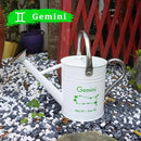 Metal Watering Can for Outdoor and Indoor Plants, Watering Can Decor, 1 Gallon (Gemini) by GreenHaven Gardens