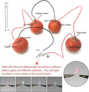EUDAX Fruit Battery Science Experiment Kit for DIY School Home Teaching Equipment, Orange Lemon Potato Electronic Clock Science Project Kit Physics Educational for Students Teachers (8 Set) by TinyTreasures Baby Boutique