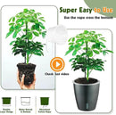 Self Watering Pots for Indoor Plants, 6-Pack 6.7'' Self Watering Planter with Drainage Holes, Small African Violet Pots with Water Indicator, Clear Wick Orchid Pot, Grey by CozyNest Decor