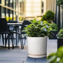 Ceramic Pots for Plants 12 Inch - Large Ceramic Planters for Indoor Plants Outdoor Modern Flower Pot with Drainage Holes and Saucer for Office Garden Patio White by GreenHaven Gardens