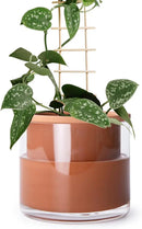 Phoenix Vine 6 Inch Self Watering Plants Pot, Design Terracotta Pot for Plants, Indoor Cylinder Terra Cotta Planter with Glass Vase, Set of 1, 51-A-F-1 by GreenHaven Gardens