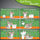 HOME GROWN 3 Cat Grass Seed Mix – Non-GMO Heirloom Oat, Alfalfa & Cat Grass Seeds | Indoor Pet Grass for Cats | High-Germination Greens for Hairball Control, Digestion, and Chewing Enrichment by GreenHaven Gardens