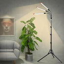 3-Head Grow Lights for Indoor Plants with Stand 27W, LED Plant Grow Light for Tall Houseplants, Bonsai Tree, Full Spectrum Growing Lamp with 4,8,12 Hr Timer, 24"-64" Adjustable Height by GreenHaven Gardens