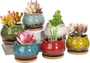 Laerjin Succulent Pots, 4 Inch Ceramic Plant Pots and Drainage Hole with Bamboo Tray, Colorful Flower Planter Pot, Pack of 6, Plants Not Included by GreenHaven Gardens