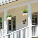 ZMTECH 10 Inch Hanging Planters for Outdoor Plants, Hanging Pots for Plants Indoor with Visible Water Level, Hanging Flower Basket with Drainage Holes & Removable Tray(2 Pack, White) by CozyNest Decor