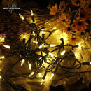 MULTI-SPARKING White Christmas LED Lights - 100 Count Warm White Holiday String Lights for Tree, Party, Wedding, Indoor and Outdoor Use, 33 Feet Green Wire, UL Certified, Connectable by GreenHaven Gardens
