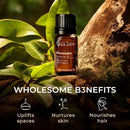 Gya Labs Ravensara Essential Oil for Diffuser - 0.34 Fl Oz - 100% Pure Natural Ravensara Oil for Skin, Hair, Aromatherapy & Candle Making Scent by CozyNest Decor