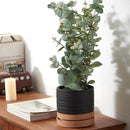 6 Inch Plant Pots, Ceramic Planter Pot with Drainage Hole & Saucer, Indoor/Outdoor Cylinder Round Planter Pot, Matte Black & Brown by CozyNest Decor