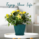 6 inch Plant Pots, 5 Pack Flower Pots Outdoor Indoor, Planters with Drainage Hole and Tray Saucer. by GreenHaven Gardens
