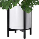 D'vine Dev Planter Pot with Stand - 16 Inch Plastic Cylinder Flower Pot with Wood Planter Holder for Indoor, Matte White Pot + Ebony Stand, 55-C-Z-1 by GreenHaven Gardens