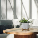 8" Ceramic Planter Stand, White Diamond Design with Wooden Base, Indoor/Outdoor Planter with Stand for Your Succulents and Small Plants by GreenHaven Gardens