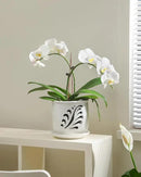 Ceramic Orchid Pot, 6 Inch Orchid Pots with Holes and Saucer for Indoor/Outdoor Plants Drainage & Air Circulation, White Orchid Planter for Repotting or New Plants by GreenHaven Gardens