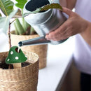 Peohud 8 Pack Self Watering Spikes Mushroom Shaped, Terracotta Plant Watering Globes, Cute Watering Device, Automatic Irrigation Spikes for Indoor Outdoor Potted Plants by GreenHaven Gardens