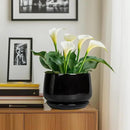 G EPGardening Ceramic Plant Pots - 9 Inch Round Planter, Ceramic Pots for Plants with Drainage and Tray, Flower Indoor Outdoor Planter, Modern Desk Decor, Plant Lover Gifts, Black by GreenHaven Gardens