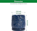 D'vine Dev 6 Inch Embossed Leaves Stoneware Planter Pot with Drainage Hole and Saucer, Midnight Blue, 27-A-X-3 by GreenHaven Gardens