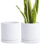 D'vine Dev Set of 2 Plants Pots, 8 Inch Ceramic Planter Pot for Plants with Drainage Hole and Saucer, White, 94-V-D-1 by GreenHaven Gardens