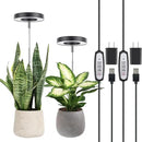LORDEM Plant Grow Light, Full Spectrum LED Plant Light for Indoor Plants, Growing Lamp with Auto On/Off Timer, 4 Dimmable Brightness, 2 Packs of Black by GreenHaven Gardens