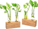 Ivolador Propagation Stations Double Test Tube Plants Terrariums in Wooden Stand Propagation Station for Hydroponic Plants Office Home Decoration by GreenHaven Gardens
