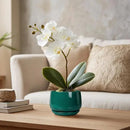 G EPGardening 4 inch Plant Pots - Small Ceramic Planter with Drainage Hole & Tray, Succulent Pots Indoor Outdoor, Round Modern Planter, Decorative Flower Pot, Desk Decor, Gifts for Plant Lover, Green by GreenHaven Gardens