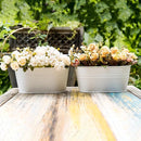3 Pack Metal Hanging Flower Pots for Railing Fence，Outdoor Balcony Rail Planter with Detachable Hooks Drainage Holes for Deck Garden Home Decor White by GreenHaven Gardens