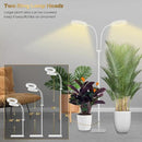GLOWRIUM Grow Light with Stand,2-Head LED Plant Light for Indoor Plants, Full Spectrum Grow Lamp, 3/9/12H Timer, 6 Dimmable Levels, 3 Lighting Mode, Adjustable Height White by GreenHaven Gardens