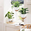 41.5 Inch Macrame Plant Hanger Indoor Outdoor with 12 Inch Flower Pot, Hanging Planter for Plants Holder with Wood Beads for Boho Home Decor (Ivory+White) by CozyNest Decor