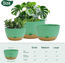 8/10/12 Inch Pots for Indoor Plants, Large Self Watering Planters with Drainage and Saucers, Plastic Outdoor Flower Pot, Set of 3, Green by GreenHaven Gardens