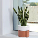 8 Inch Self-Watering Planter Pot with Terracotta Insert, Deep Water Reservoir, and Ceramic-Alike BPA-Free Plastic Planter Pot for Plant, Modern Planter for Houseplants, Terracotta/White, 53-B-T-6 by CozyNest Decor