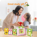 Toddler Gifts Talking Flash Cards for 1 2 3 4 5 Year Old Boys and Girls, Autism Sensory Toys for Autistic Children, Learning Educational Montessori Speech Therapy, 296 Pro Words Pink by TinyTreasures Baby Boutique