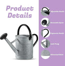 1 Gallon Watering Can for Plants, Watering Cans for Indoor&Outdoor Gardening, Galvanized Steel Watering Pot with Removable Spout, Metal Water Can with Ergonomic Movable Handle(Rustic Silver) by GreenHaven Gardens