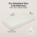 KeaBabies 2-Pack Organic Crib Sheets for Boys, Girls - 52x28 Fitted Crib Mattress Sheet Neutral, Breathable Jersey Cotton Cover for Baby Bed, Toddler Mattress, Soft & Cute Prints (Fleur) by TinyTreasures Baby Boutique