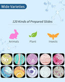 120-Pcs Microscope Slides with Specimens,Pre-Made Glass Slides with Specimens,Educational Microscope Slides and Covers for Young Scientists,Perfect for Biology Class and Experiments by TinyTreasures Baby Boutique
