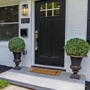 2 Pack 24.5inch Artificial Topiary Ball Plants, Faux Boxwood Ball in Pot, Fake Outdoor Plant for Front Door Decor, Home Decor, Garden, Wedding Decor by CozyNest Decor