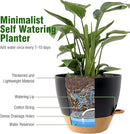 12/10/9 inch Large Self Watering Pots, Planter, Plant Pots with Mesh Drainage Holes for Indoor Outdoor Garden Plants, Plastic Flower Pots with Removable Deep Reservoir, Black with Brown by CozyNest Decor