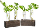 Ivolador Plant Propagation Stations 4 Test Tube Plants Terrariums in Wooden Stand Gifts for Plant Lovers for Hydroponic Plants Office Home Decor Hydroponic Vase Gift Box 2 Sets by GreenHaven Gardens