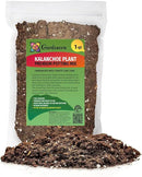 Kalanchoe Plant Premium Potting Mix - Optimize Growth with Natural Ingredients - 1 Quart by GreenHaven Gardens