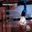 Brightech Ambience Pro - 24 Ft Waterproof LED Outdoor String Lights - Hanging, Dimmable 2W Vintage Edison Bulbs - Commercial Grade Patio Lights Create Cafe Ambience in Your Backyard, 7 Bulbs by GreenHaven Gardens