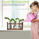 Plant Propagation Station Plant Terrarium Unique Birthday Gifts for Women Plant Lovers Home Office Decor Planter with Wooden Stand - 3 Bulb Glass Vase by GreenHaven Gardens