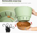 QCQHDU 2 Pack Hanging Planters for Indoor Outdoor Plants, 10 Inch Hanging Baskets Flower Pots with Reservoir Tray & Visible Water-Level by CozyNest Decor