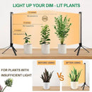 2 Pack Grow Lights for Indoor Plants, Height Adjustable with On/Off Switch and Timer, Vertical Plants Grow Light for Indoor Plant Growth and Flowering by GreenHaven Gardens