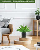 Velener Fake Agave with Black Pot, Artificial Plant Outdoor Agave - Fake Plants for Indoor and Outdoor Decor(16 Inch) by GreenHaven Gardens