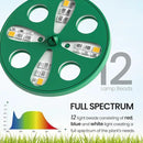 MIXC Seed Starter Tray with Lights, 2 Packs Mini Propagator Plant Grow Kit Greenhouse with Humidity Vented Domes and Base for Seeds Starting, Green by GreenHaven Gardens