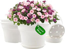 10 Inch Plastic-Flower-Pot-for-Indoor-Plants, 4 Pack Large Outdoor Planter Pot with Drainage Holes & Saucers, Resin Decorative Garden Pots Planters by CozyNest Decor
