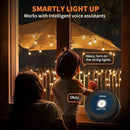 XMCOSY+ Patio Lights, Smart 50Ft Outdoor String Lights with 25 Dimmable G40 Globe Bulbs, APP Control, Work with Alexa, Connectable Waterproof LED Outdoor Light by GreenHaven Gardens