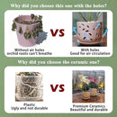 KERUITA Orchid Pots with Holes,6 inch + 5 inch Ceramic Planters Set of 2 with 2 Bottom Tray, Enhanced Drainage and Ventilation,White Flower Pots for Indoor/Outdoor Plants for Repotting by GreenHaven Gardens
