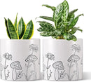Mushroom Ceramic Plant Pot Set of 2, 5 Inch Modern Stylish White Round Flower Pots with Drainage Holes, Planter Decor for Indoor-Outdoor Plants Spider Plant, Pothos, Gift for Woman and Friends by GreenHaven Gardens