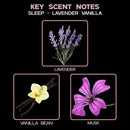 LOVSPA Reed Diffuser Set, Lavender Vanilla Scented Oil Diffuser with Sticks, Home Fragrance Accessories for Bathroom Shelf Decor, Aroma Diffusers for Home or Office Desk, USA Made by CozyNest Decor