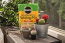 Miracle-Gro Cactus, Palm & Citrus Potting Mix, 8 qt. (3-Pack) by GreenHaven Gardens